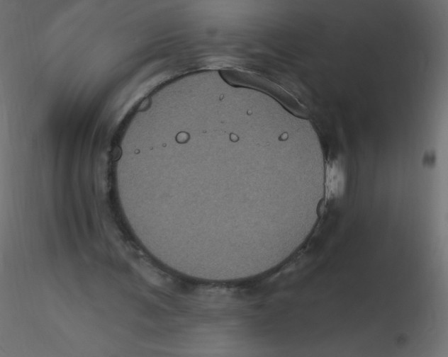 X0000116610291200912312124