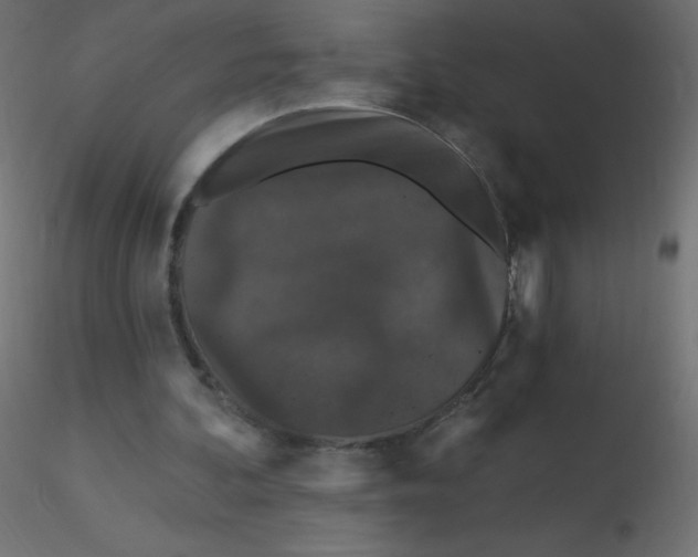 X0000116610292200912312124