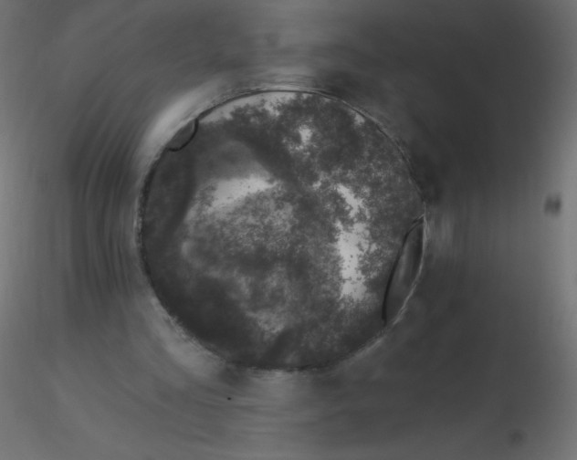 X0000116610293200912312124