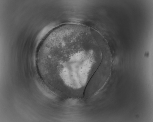 X0000116610294200912312123