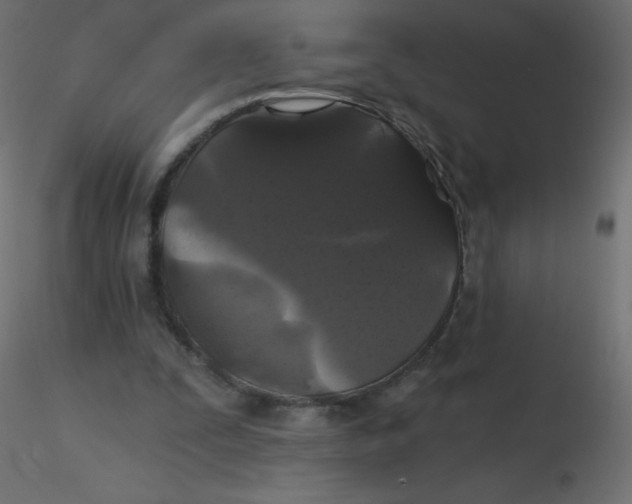 X0000116610295200912312123