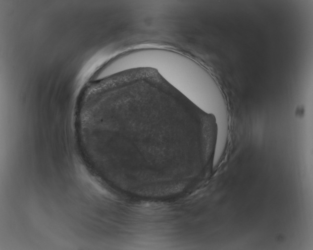 X0000116610296200912312123