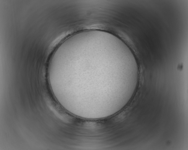 X0000116610298200912312123