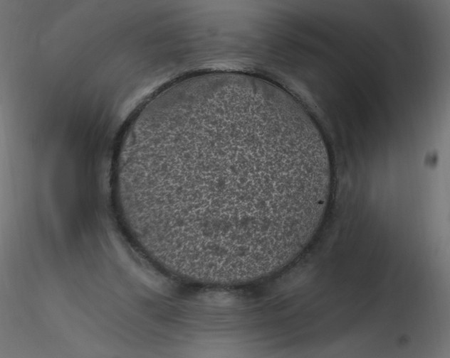 X0000116610299200912312123