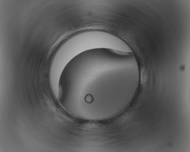 X0000116610300200912312123