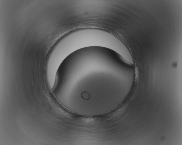 X0000116610301200912312123