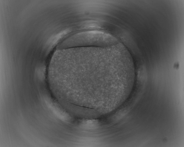 X0000116610304200912312123