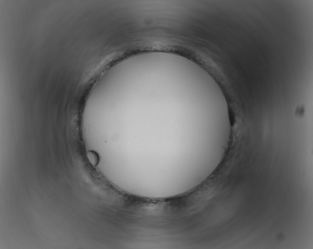 X0000116610306200912312123