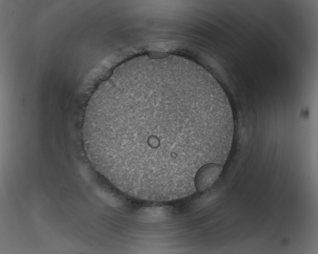 X0000116610307200912312123