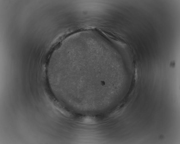 X0000116610308200912312123