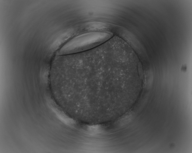 X0000116610309200912312123