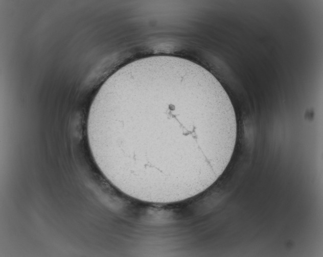 X0000116610311200912312123