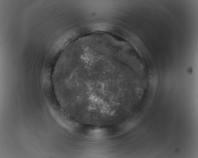 X0000116610312200912312123