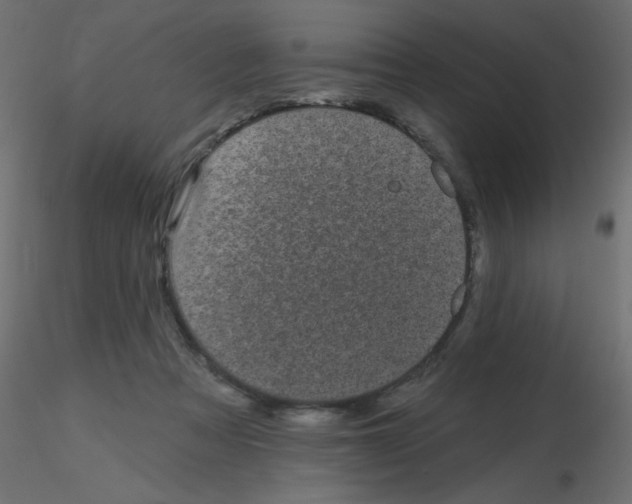 X0000116610313200912312123