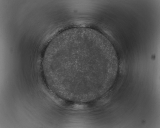 X0000116610314200912312123