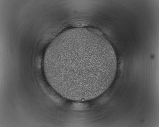 X0000116610315200912312123