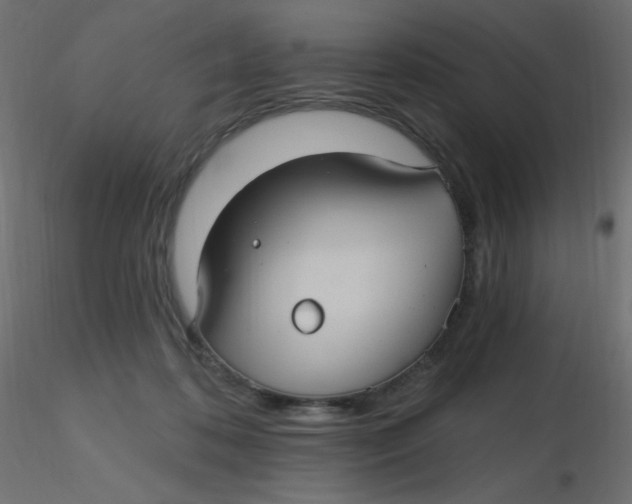 X0000116610316200912312123