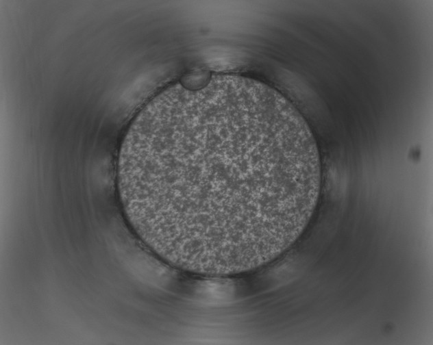 X0000116610317200912312123