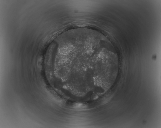 X0000116610319200912312123