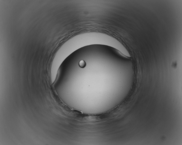 X0000116610320200912312123