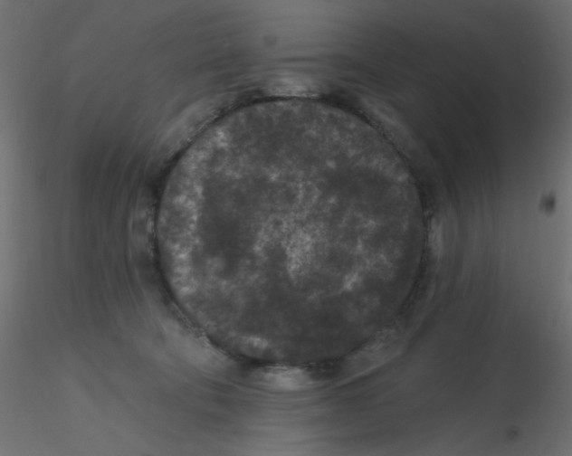 X0000116610322200912312123