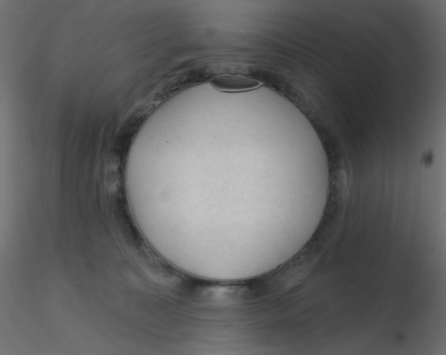 X0000116610323200912312123