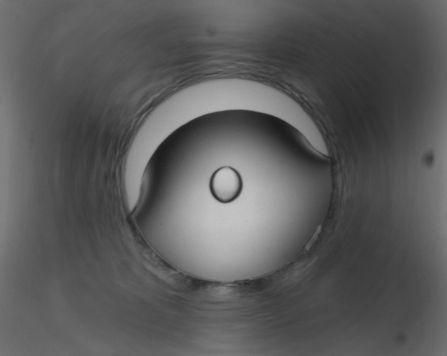 X0000116610325200912312123