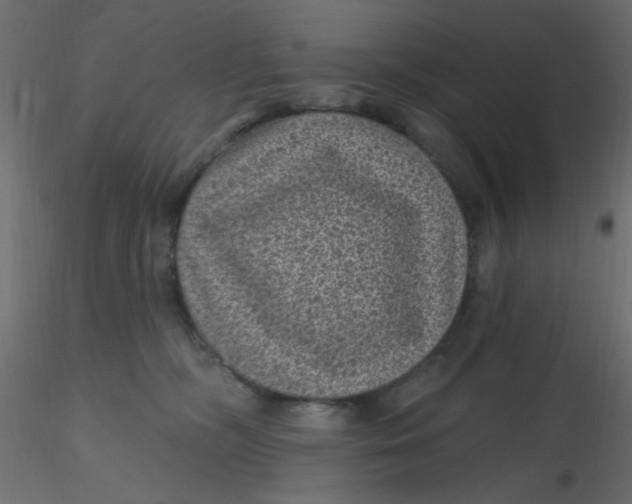 X0000116610326200912312123