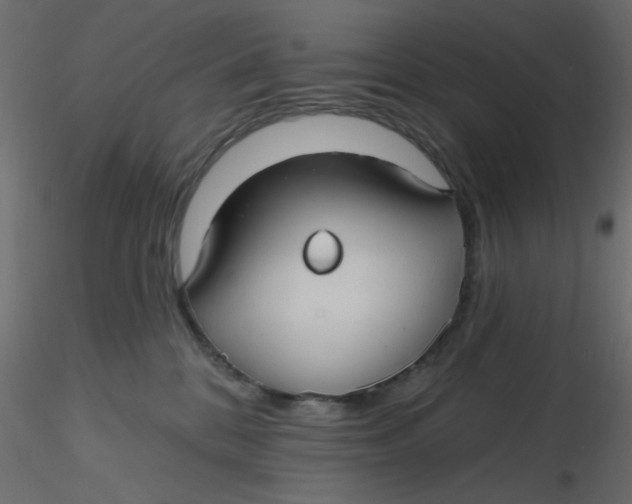 X0000116610328200912312123