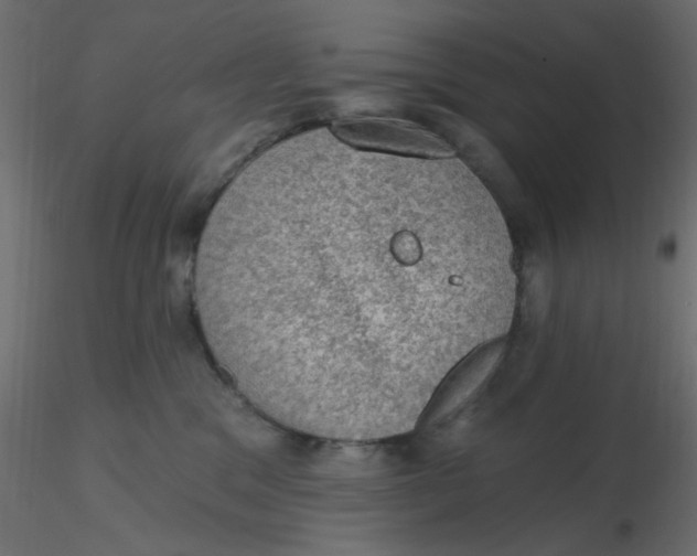 X0000116610329200912312123