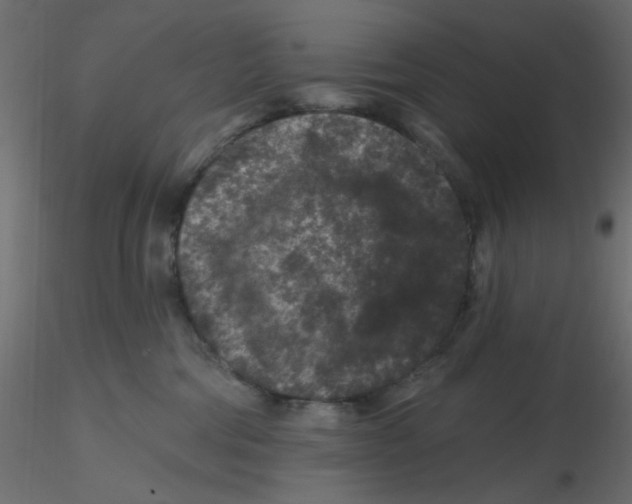 X0000116610330200912312123