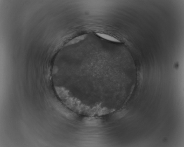 X0000116610331200912312123