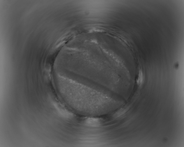 X0000116610332200912312123