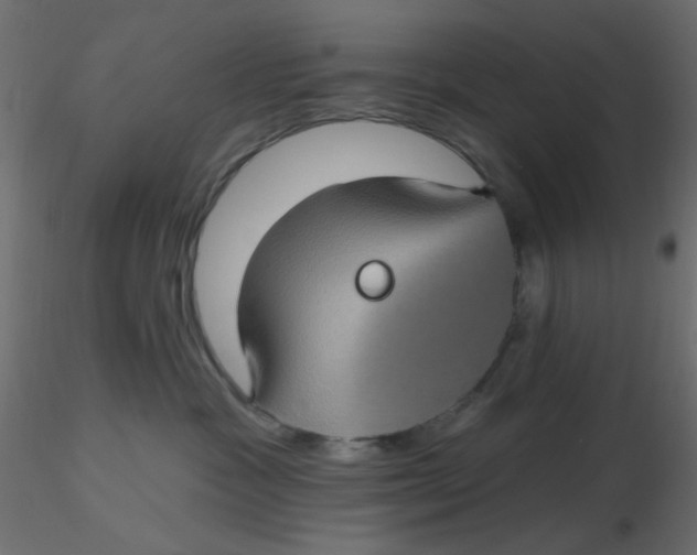 X0000116610333200912312123