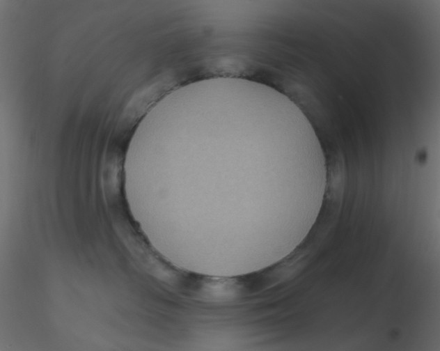 X0000116610334200912312123