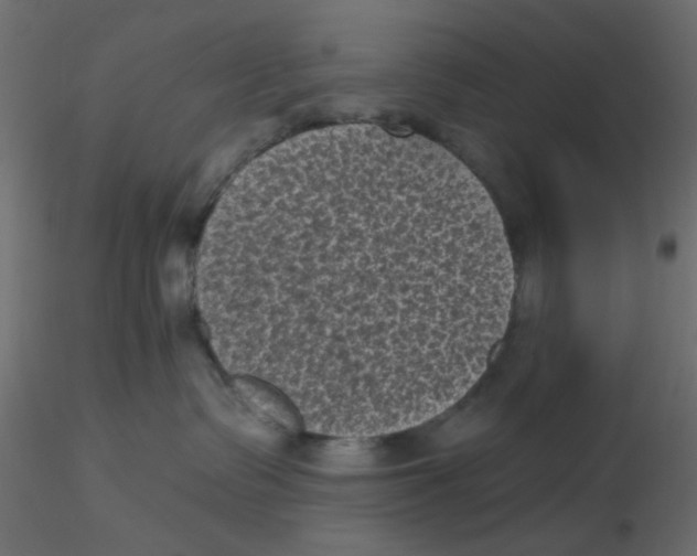 X0000116610335200912312123