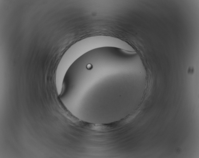 X0000116610336200912312123