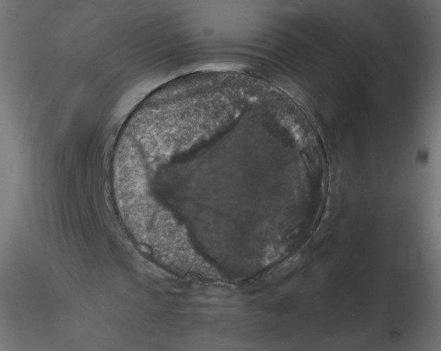 X0000116610337200912312122