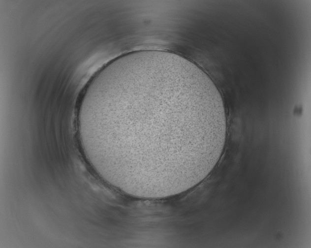 X0000116610338200912312122