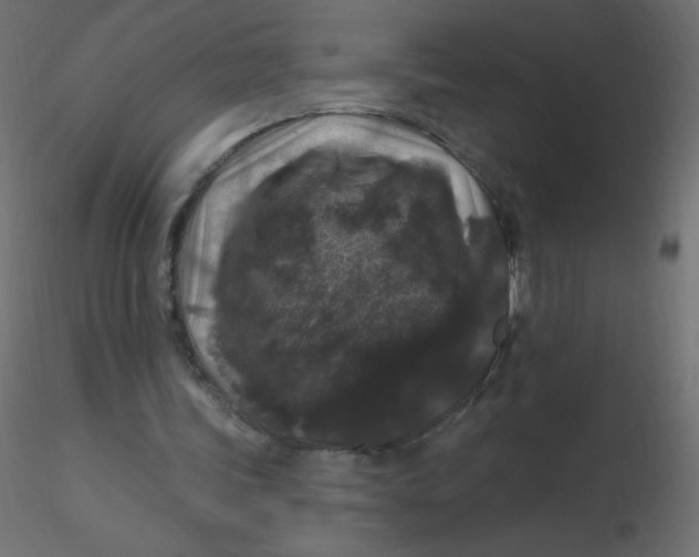 X0000116610339200912312122