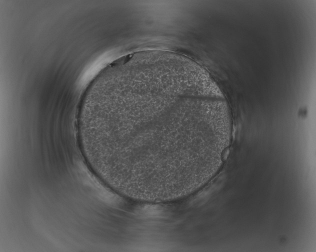 X0000116610341200912312122