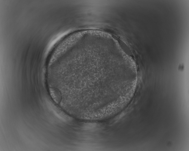 X0000116610342200912312122