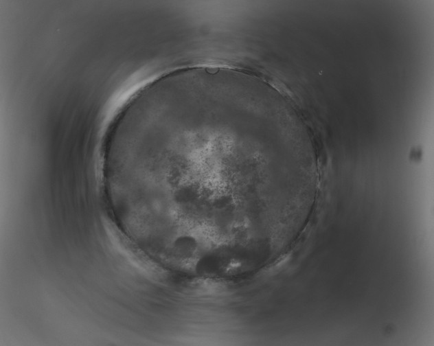 X0000116610343200912312122