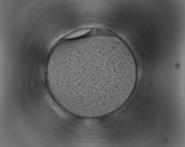 X0000116610345200912312122