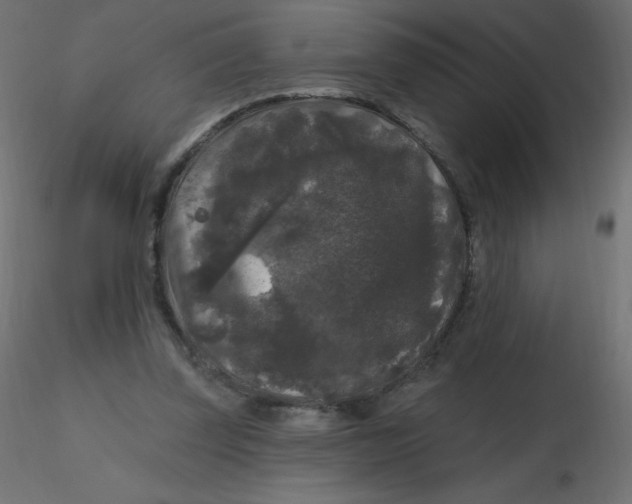 X0000116610347200912312122