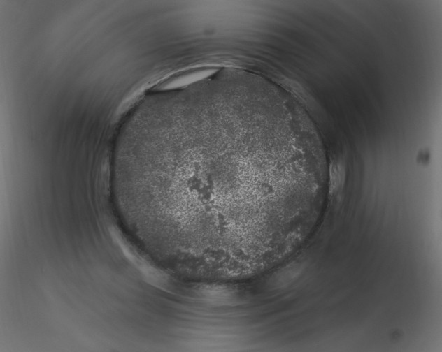 X0000116610349200912312122