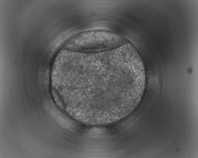 X0000116610350200912312122