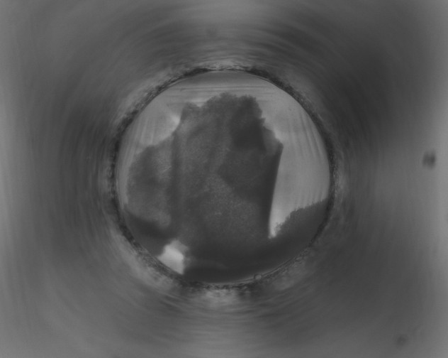 X0000116610353200912312122