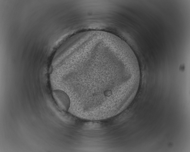 X0000116610354200912312122