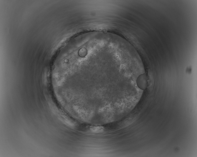 X0000116610355200912312123